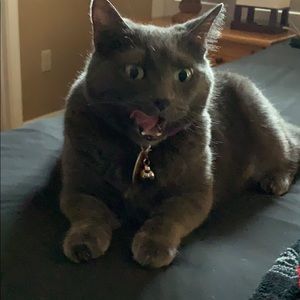 Meet your Posher, Beth